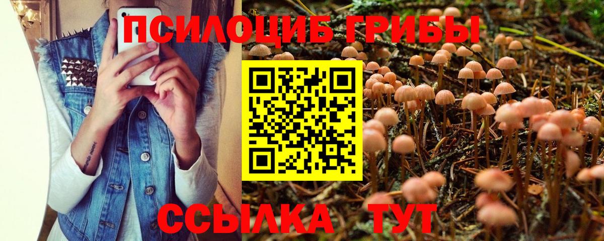 Галлюциногенные грибы мухоморы Орск