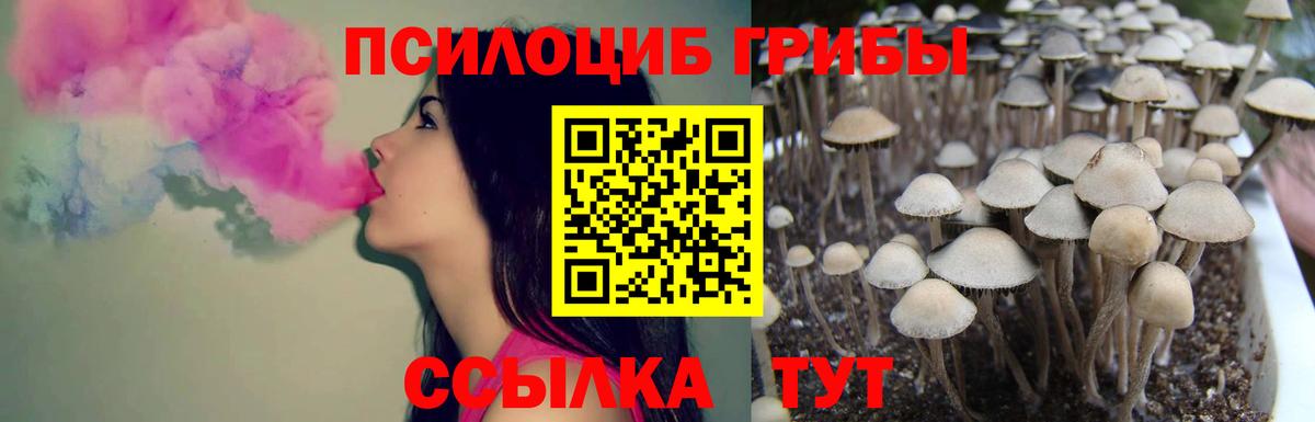 Галлюциногенные грибы мухоморы  Вход с VPN  Галлюциногенные грибы MAGIC MUSHROOMS  Орск 